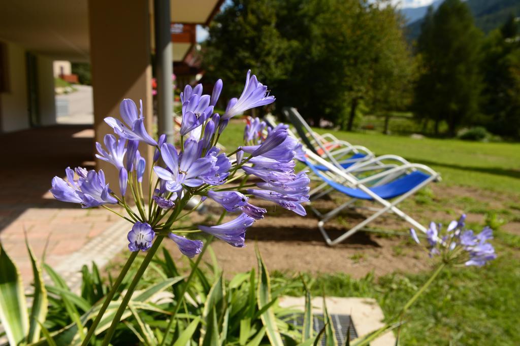 La Casa Al Noce Aparthotel Mezzana  Rom bilde